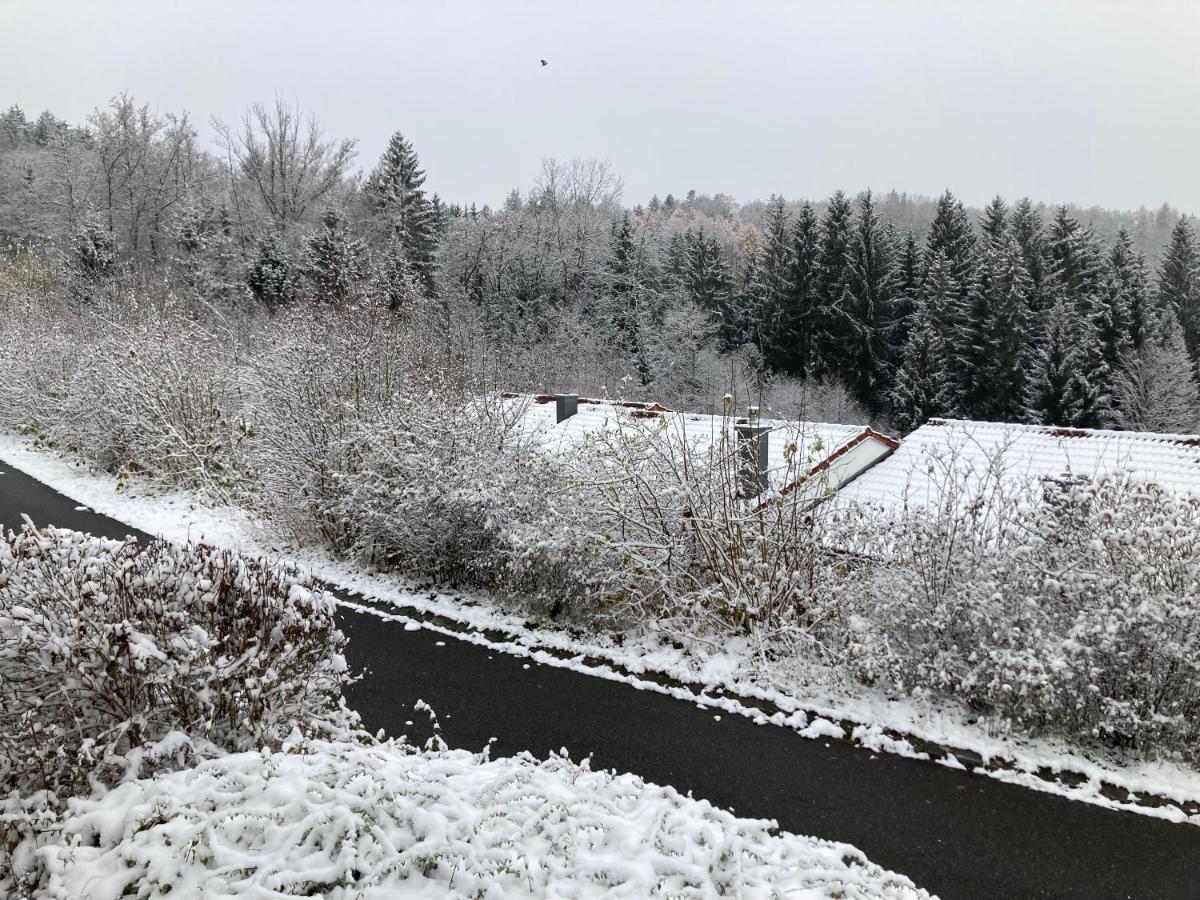 Ferienhaus Brandt Im Ferienpark Falkenstein Falkenstein  Buitenkant foto